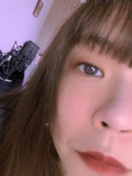 seltyduck
